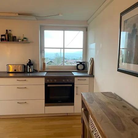 Appartement Albis-winkel Ferienapartments